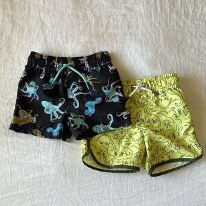 Toddler boys swim trunks EUC 2T